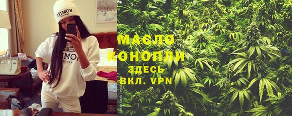 спиды Каменногорск