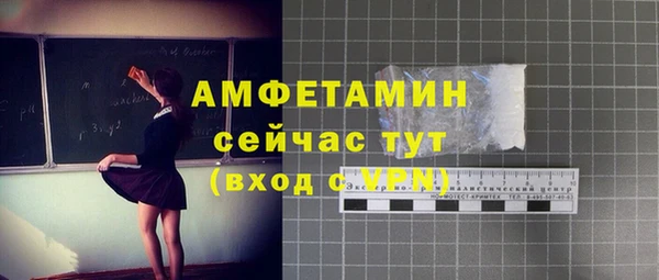спиды Каменногорск