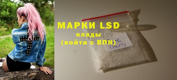 хмурый Каменка