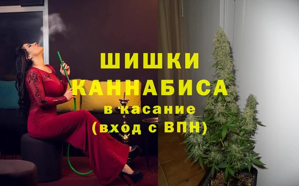 спиды Каменногорск