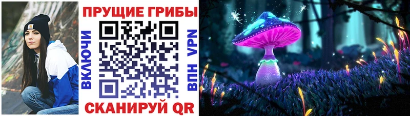 Псилоцибиновые грибы Psilocybe  Снежногорск 